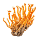 Drsablok